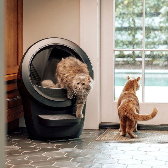 Whisker Litter-Robot 4