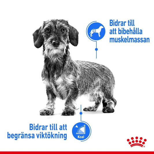 Royal Canin Light Weight Care Mini