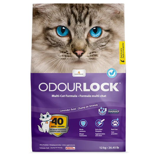 Intersand Odour Lock Lavender Field
