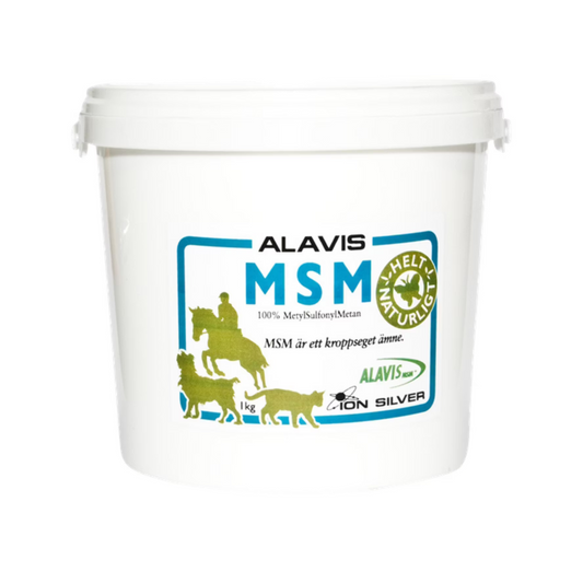 Ion Silver MSM Alavis