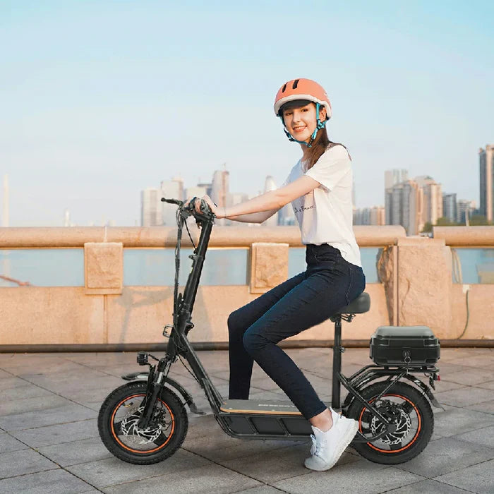 FREEBOY H14 Elscooter med Sits 36V 10Ah 14 tum