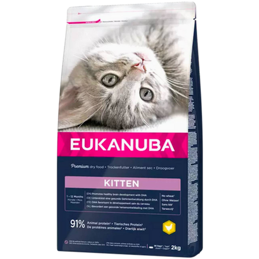 Eukanuba Cat Kitten 10 kg
