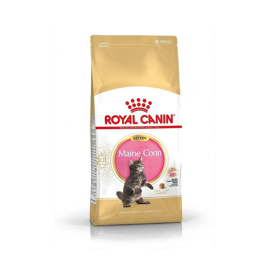 Royal Canin Maine Coon Kitten