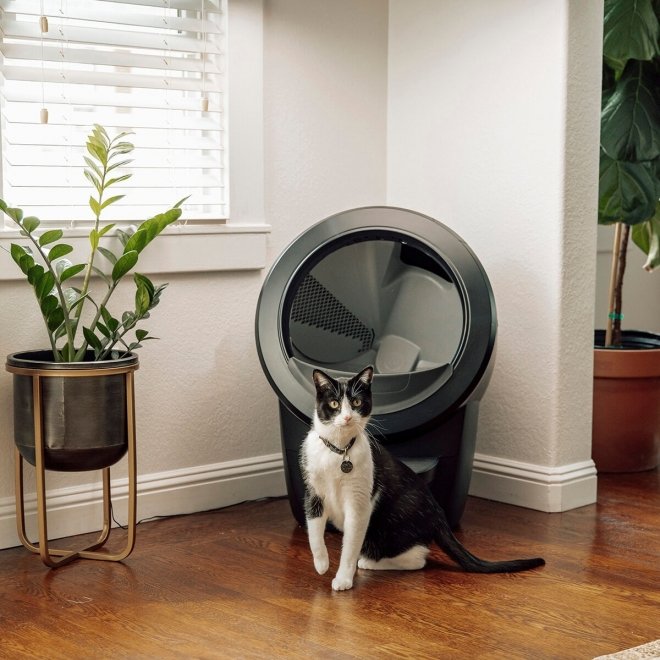 Whisker Litter-Robot 4