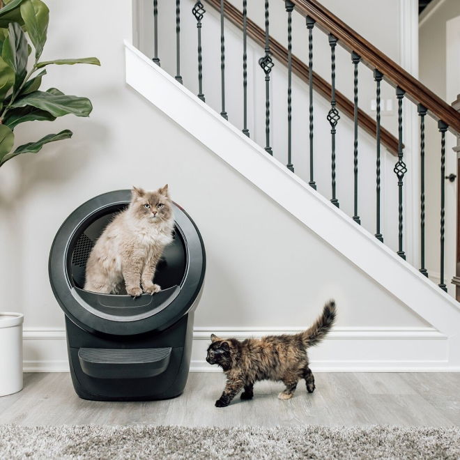 Whisker Litter-Robot 4